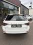 Skoda Superb Kombi 2,0 TDI 4x4 Style DSG Allrad Weiß - thumbnail 4