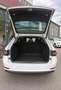Skoda Superb Kombi 2,0 TDI 4x4 Style DSG Allrad Weiß - thumbnail 5