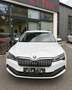 Skoda Superb Kombi 2,0 TDI 4x4 Style DSG Allrad Weiß - thumbnail 2