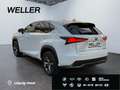 Lexus NX 300h E-FOUR F SPORT *HUD*360*Leder*M. Levinson* Weiß - thumbnail 7