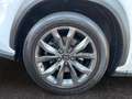 Lexus NX 300h E-FOUR F SPORT *HUD*360*Leder*M. Levinson* Weiß - thumbnail 22