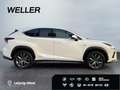 Lexus NX 300h E-FOUR F SPORT *HUD*360*Leder*M. Levinson* Blanc - thumbnail 10