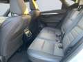 Lexus NX 300h E-FOUR F SPORT *HUD*360*Leder*M. Levinson* Weiß - thumbnail 17