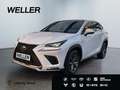 Lexus NX 300h E-FOUR F SPORT *HUD*360*Leder*M. Levinson* Blanc - thumbnail 1