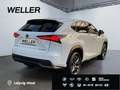 Lexus NX 300h E-FOUR F SPORT *HUD*360*Leder*M. Levinson* Blanc - thumbnail 19