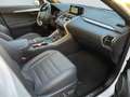 Lexus NX 300h E-FOUR F SPORT *HUD*360*Leder*M. Levinson* Weiß - thumbnail 21