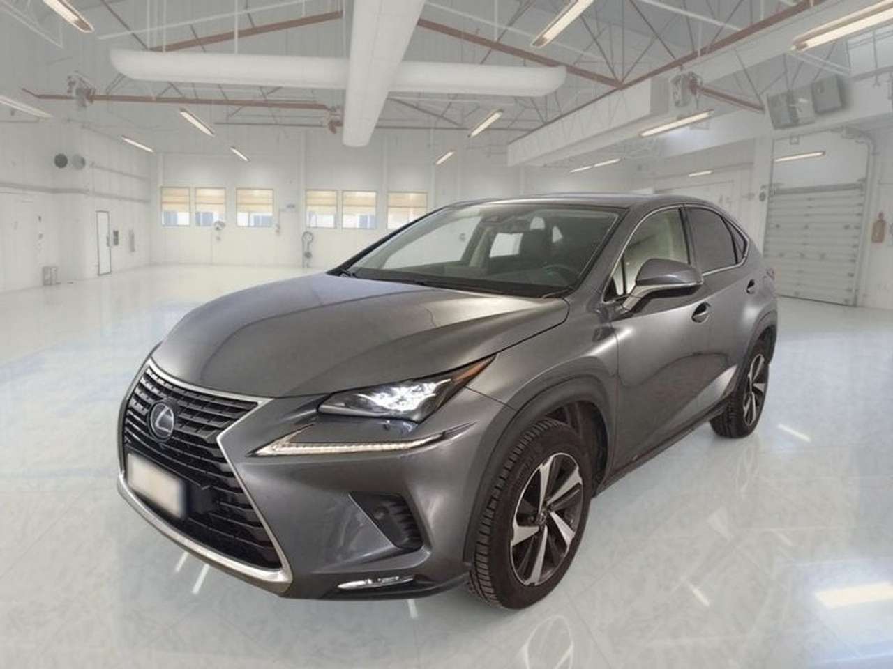 Lexus NX 300 NX Hybrid 4WD Luxury