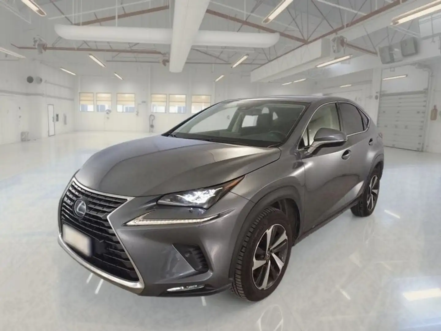 Lexus NX 300 NX Hybrid 4WD Luxury Grigio - 1