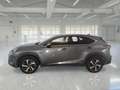 Lexus NX 300 NX Hybrid 4WD Luxury Grigio - thumbnail 7