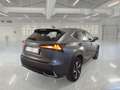 Lexus NX 300 NX Hybrid 4WD Luxury Grigio - thumbnail 3