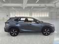 Lexus NX 300 NX Hybrid 4WD Luxury Grigio - thumbnail 6