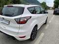 Ford Kuga 1.5 ecoboost ST-Line s&s 2wd 120cv Wit - thumbnail 5