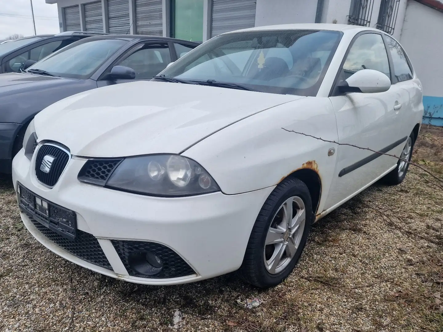 SEAT Ibiza Best of (6L1) White - 2