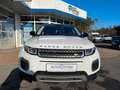 Land Rover Range Rover Evoque 2.0 TD4 SE HeadUp|Kamera|e... Weiß - thumbnail 2