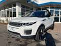 Land Rover Range Rover Evoque 2.0 TD4 SE HeadUp|Kamera|e... Weiß - thumbnail 3