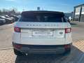 Land Rover Range Rover Evoque 2.0 TD4 SE HeadUp|Kamera|e... Weiß - thumbnail 5
