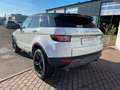 Land Rover Range Rover Evoque 2.0 TD4 SE HeadUp|Kamera|e... Weiß - thumbnail 6