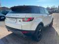 Land Rover Range Rover Evoque 2.0 TD4 SE HeadUp|Kamera|e... Weiß - thumbnail 4