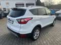 Ford Kuga Zahnriemen neu Weiß - thumbnail 4
