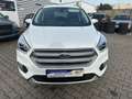 Ford Kuga Zahnriemen neu Weiß - thumbnail 6