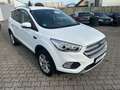 Ford Kuga Zahnriemen neu Weiß - thumbnail 5