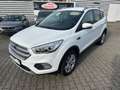 Ford Kuga Zahnriemen neu Weiß - thumbnail 2