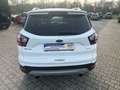 Ford Kuga Zahnriemen neu Weiß - thumbnail 3