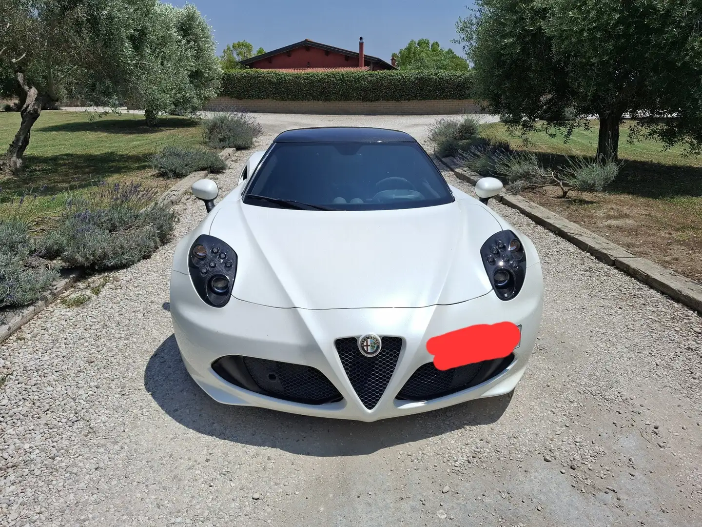 Alfa Romeo 4C Coupe 1750 tbi 240cv tct - 2