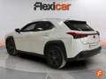 Lexus UX 250h 2.0 Business Blanc - thumbnail 7
