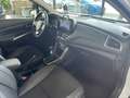 Suzuki SX4 S-Cross Comfort+ Panorama Navi 360 Kamera LED Apple CarPla Weiß - thumbnail 17