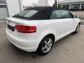 Audi A3 Audi A3 Cabr. 1.2 TFSI Comfort Edition Weiß - thumbnail 5