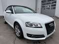 Audi A3 Audi A3 Cabr. 1.2 TFSI Comfort Edition Weiß - thumbnail 4
