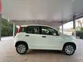Fiat Panda 1.2 69cv S&S E6d-Temp Pop Biały - thumbnail 13