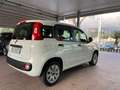Fiat Panda 1.2 69cv S&S E6d-Temp Pop Biały - thumbnail 12
