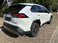 Toyota RAV 4 AWD | Pano | Memory | Stoelventilatie | Leder | Blanc - thumbnail 15