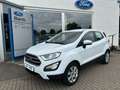Ford EcoSport 1.0 EcoBoost Cool & Connect LED DAB Weiß - thumbnail 2