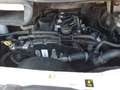 Ford Transit 350 M TDCi Lkw Blanc - thumbnail 10
