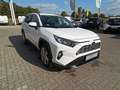 Toyota RAV 4 Blanc - thumbnail 19