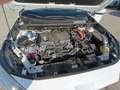 Toyota RAV 4 Blanc - thumbnail 20