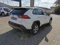 Toyota RAV 4 Blanc - thumbnail 18