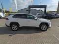 Toyota RAV 4 Blanc - thumbnail 17