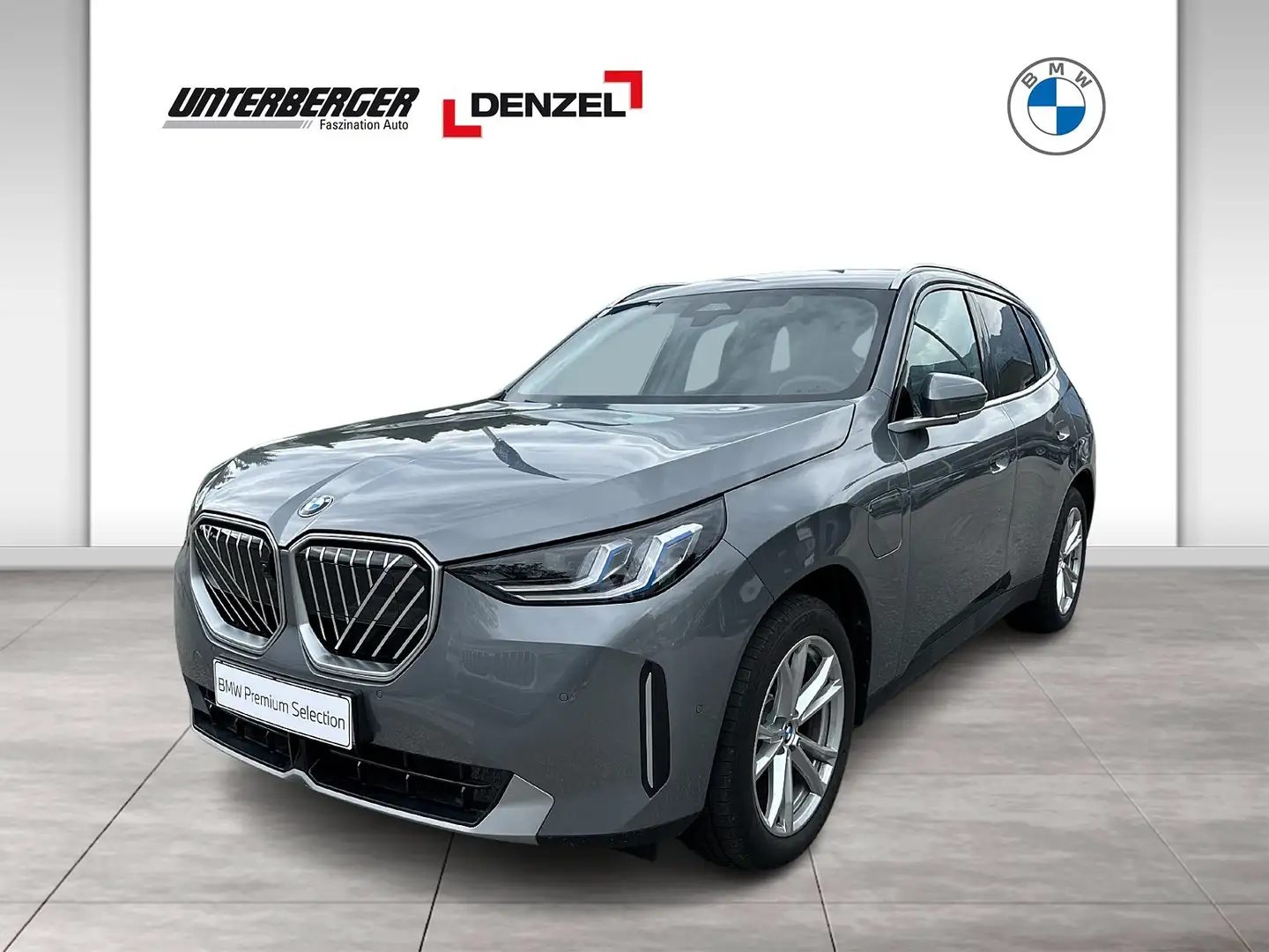 BMW X3 30e xDrive (G45) HK HiFi DAB LED RFK Shz Grau - 1