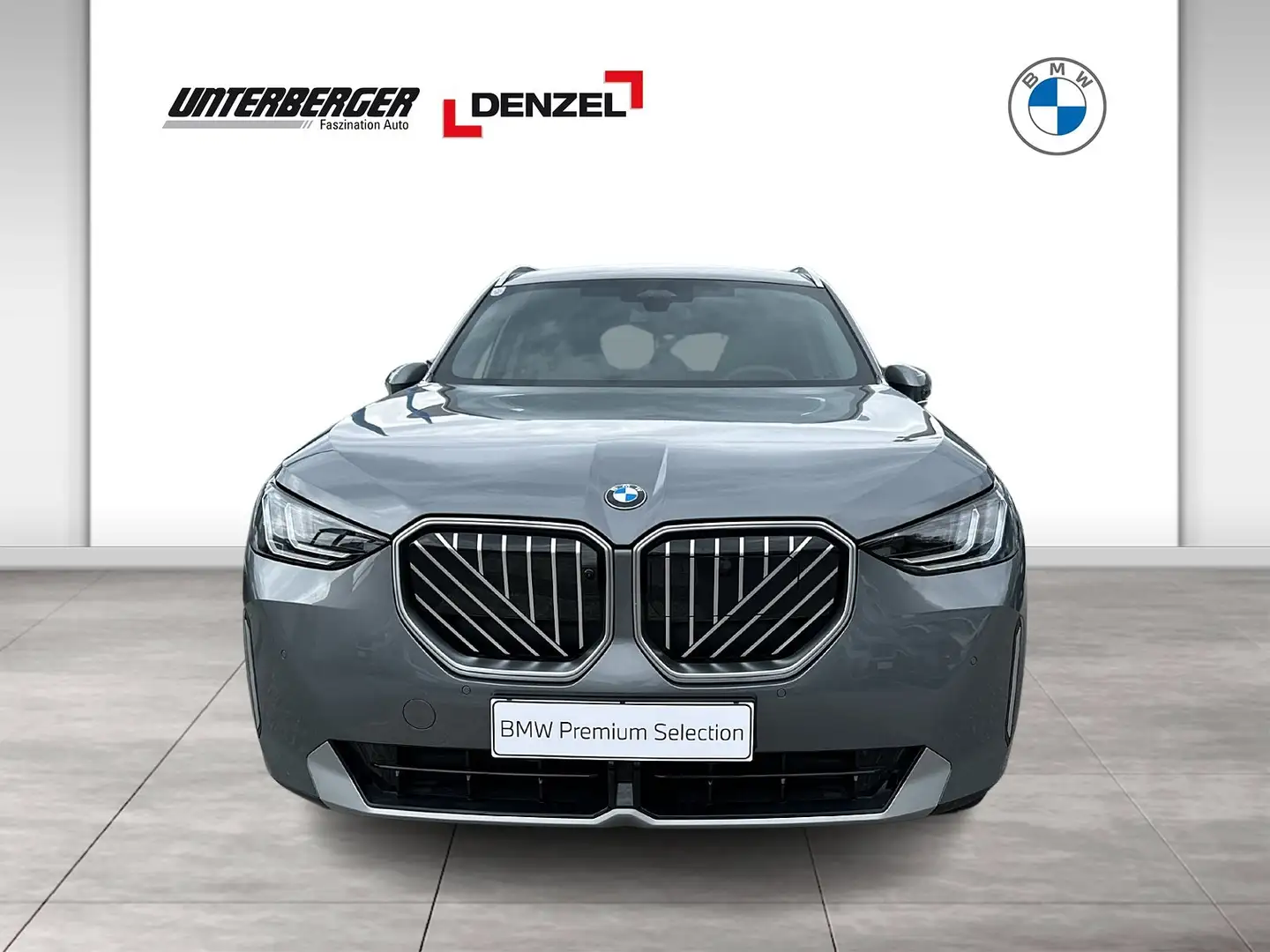 BMW X3 30e xDrive (G45) HK HiFi DAB LED RFK Shz Grau - 2