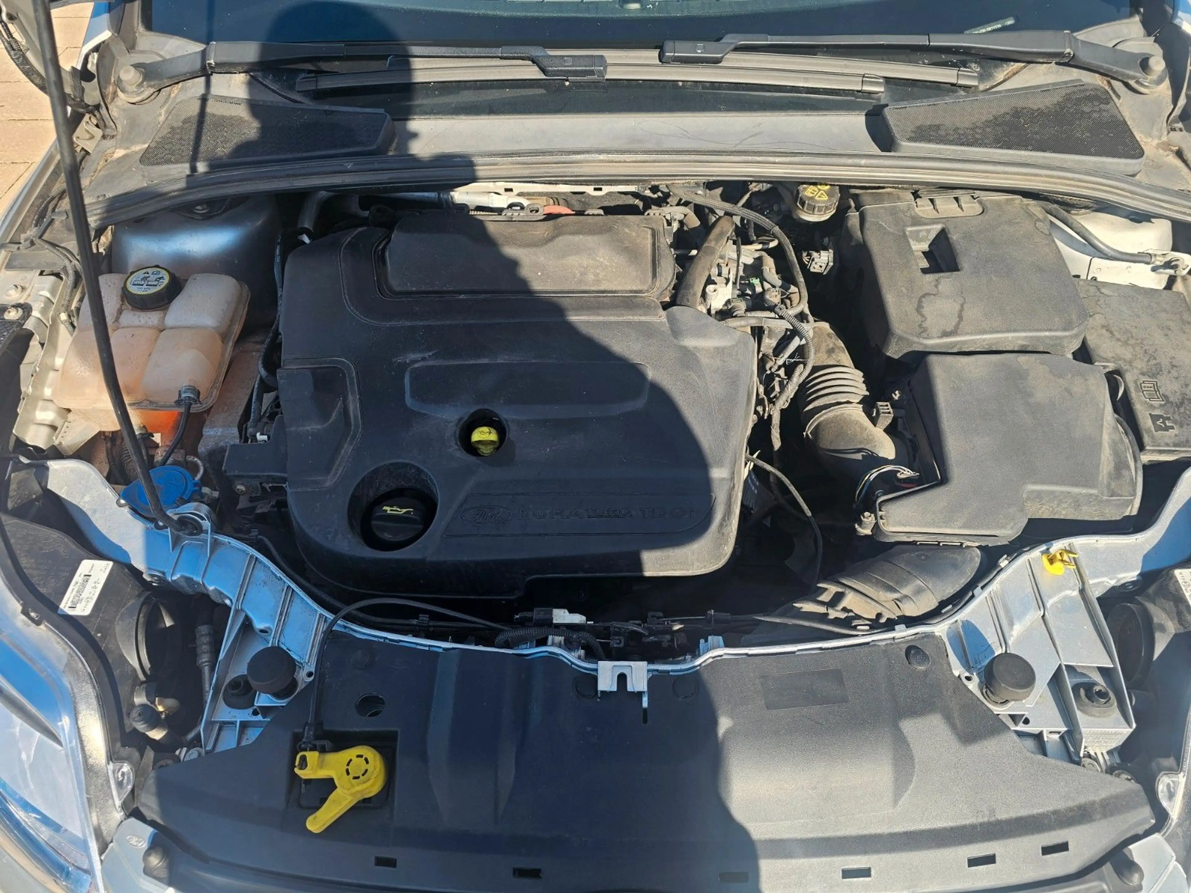 Ford Focus Turnier Champions Edition — photo 10