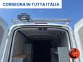 Ford Transit 350 2.0TDCI DIESEL IBRIDO (PM-TM-L2-H2)ALLESTITO Blanco - thumbnail 19