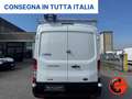 Ford Transit 350 2.0TDCI DIESEL IBRIDO (PM-TM-L2-H2)ALLESTITO Blanco - thumbnail 6