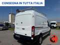 Ford Transit 350 2.0TDCI DIESEL IBRIDO (PM-TM-L2-H2)ALLESTITO Blanco - thumbnail 7