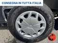 Ford Transit 350 2.0TDCI DIESEL IBRIDO (PM-TM-L2-H2)ALLESTITO Blanco - thumbnail 22