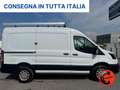 Ford Transit 350 2.0TDCI DIESEL IBRIDO (PM-TM-L2-H2)ALLESTITO Blanco - thumbnail 2