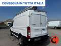 Ford Transit 350 2.0TDCI DIESEL IBRIDO (PM-TM-L2-H2)ALLESTITO Blanco - thumbnail 5
